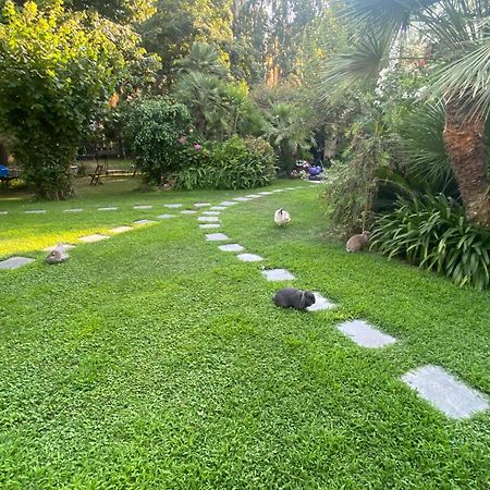 Villa Angelina Casa Limone Vallecrosia Εξωτερικό φωτογραφία