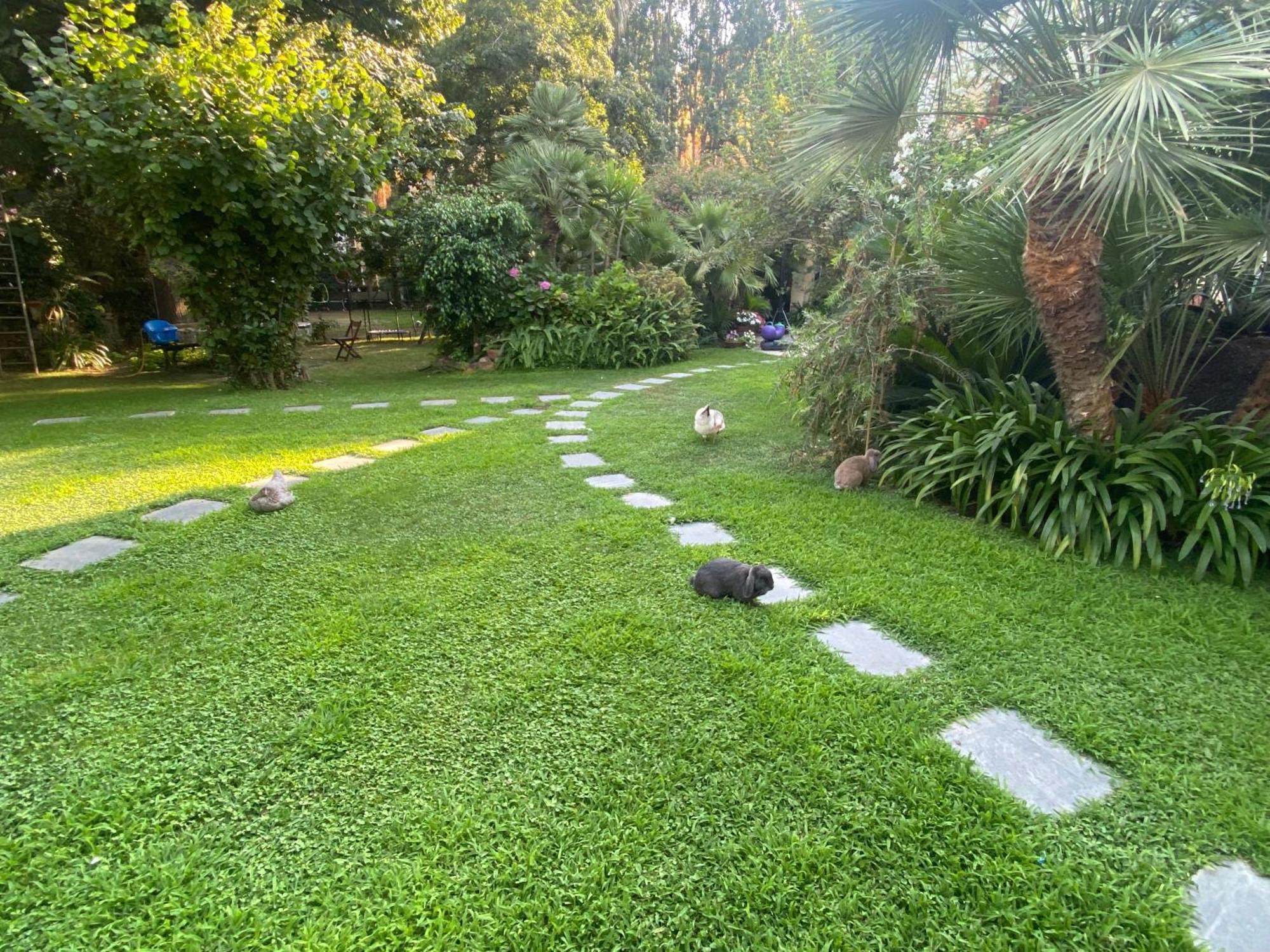 Villa Angelina Casa Limone Vallecrosia Εξωτερικό φωτογραφία
